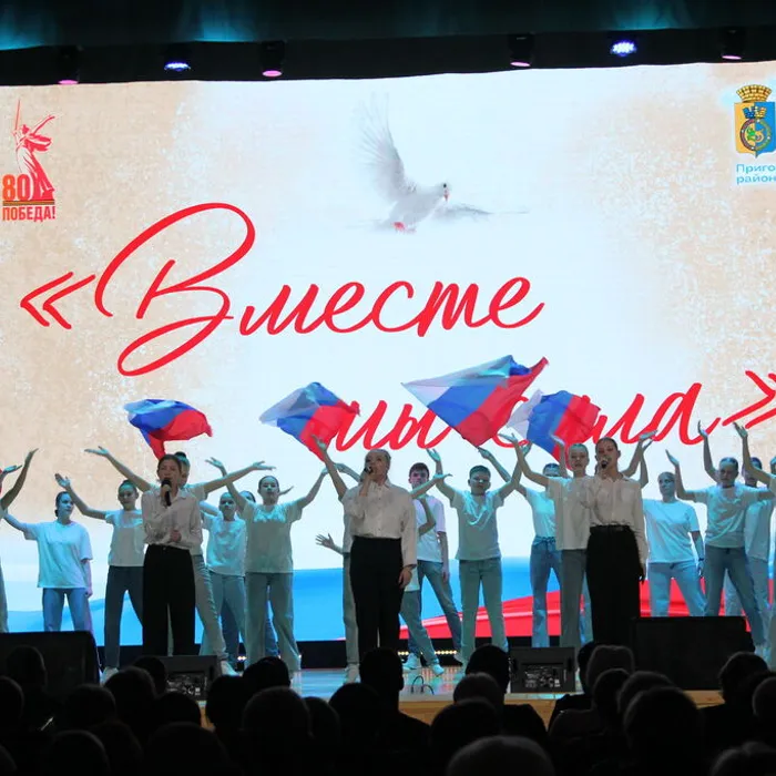 Благотворительный концерт «Вместе мы сила»